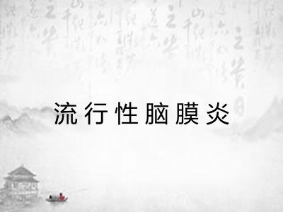 流行性脑膜炎 流行性脑膜炎
