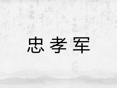 忠孝军 忠孝军