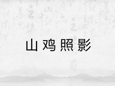 山鸡照影 山鸡照影