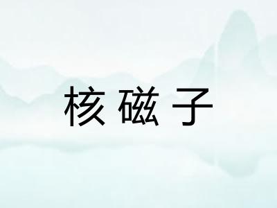 核磁子