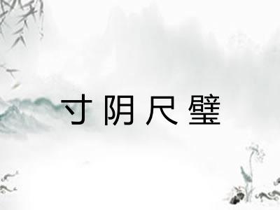 寸阴尺璧 寸阴尺璧