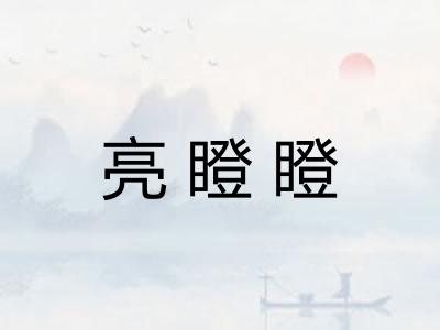 亮瞪瞪