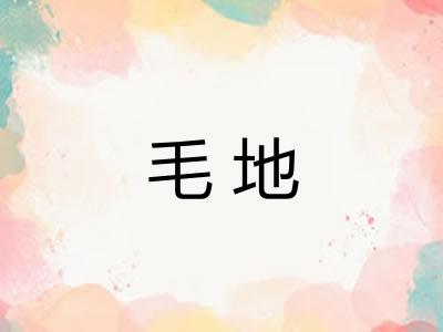 毛地 毛地