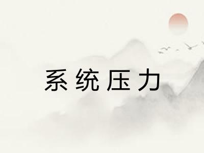 系统压力