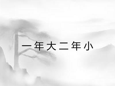 一年大二年小