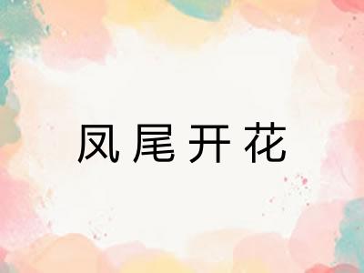 凤尾开花 凤尾开花