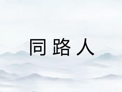 同路人