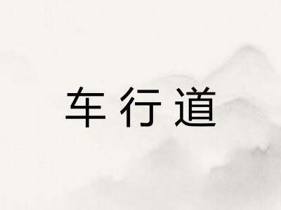 车行道