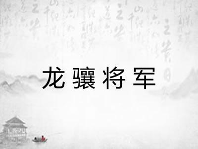 龙骧将军 龙骧将军