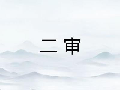二审