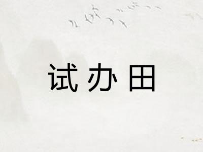 试办田