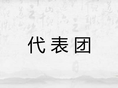 代表团 代表团