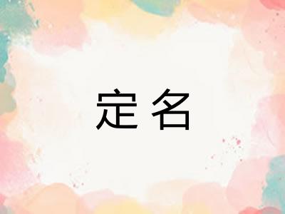 定名 定名