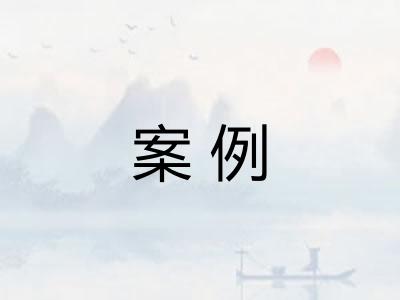 案例