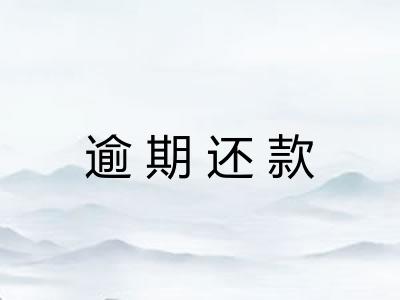 逾期还款 逾期还款