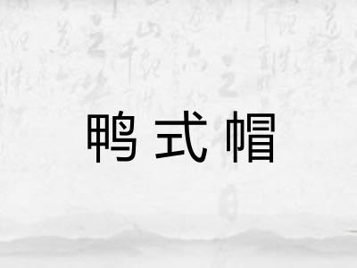 鸭式帽 鸭式帽