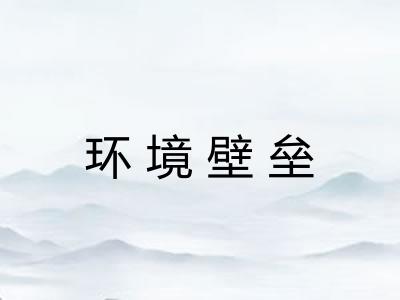 环境壁垒 环境壁垒