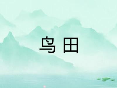 鸟田