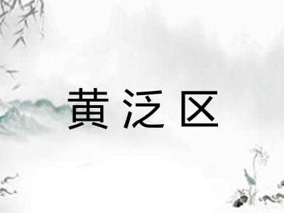 黄泛区 黄泛区