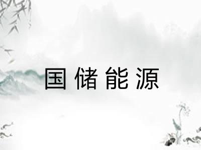 国储能源 国储能源