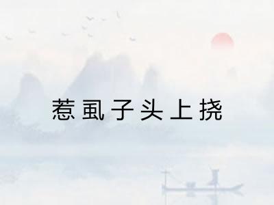 惹虱子头上挠