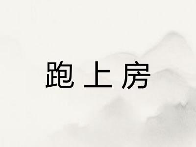 跑上房