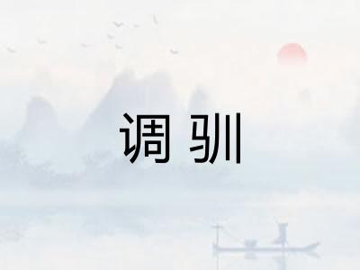 调驯 调驯
