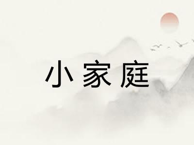 小家庭 小家庭