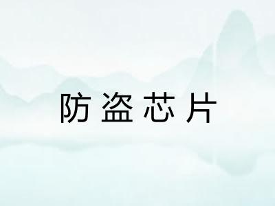 防盗芯片 防盗芯片