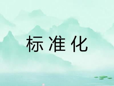 标准化
