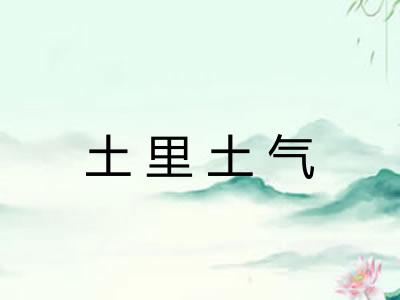 土里土气