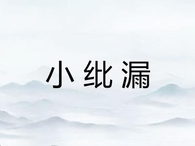 小纰漏