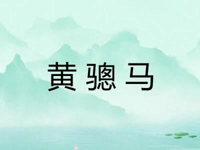 黄骢马 黄骢马