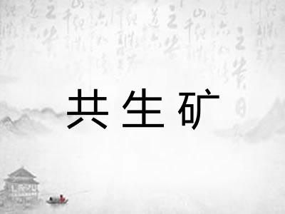共生矿 共生矿