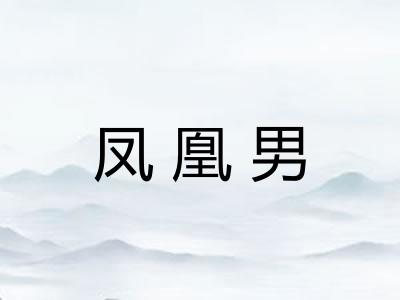 凤凰男 凤凰男