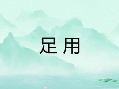 足用 足用