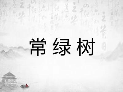 常绿树 常绿树