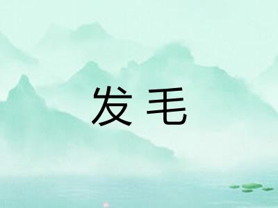 发毛 发毛