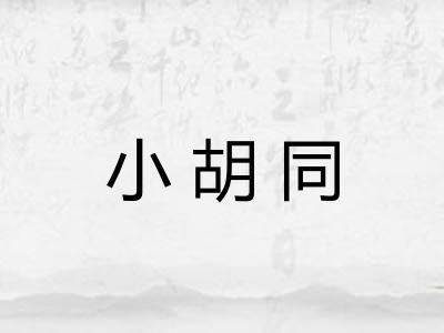 小胡同 小胡同