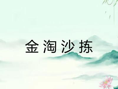 金淘沙拣 金淘沙拣