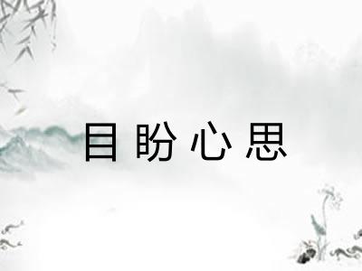目盼心思