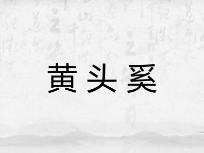 黄头奚 黄头奚