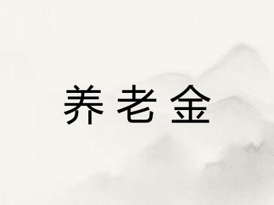 养老金 养老金