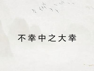 不幸中之大幸 不幸中之大幸