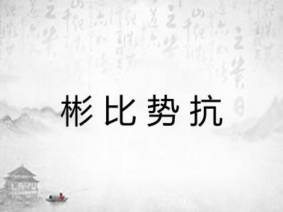 彬比势抗 彬比势抗