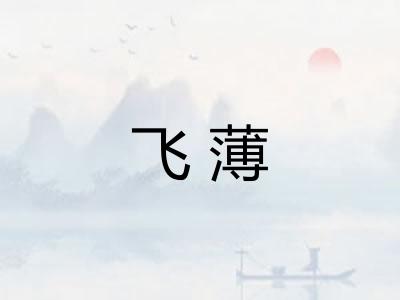 飞薄 飞薄