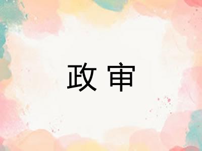 政审