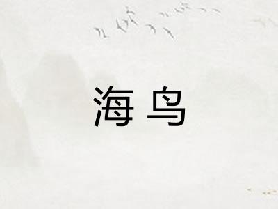 海鸟 海鸟