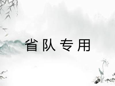 省队专用 省队专用