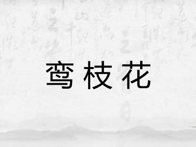 鸾枝花 鸾枝花